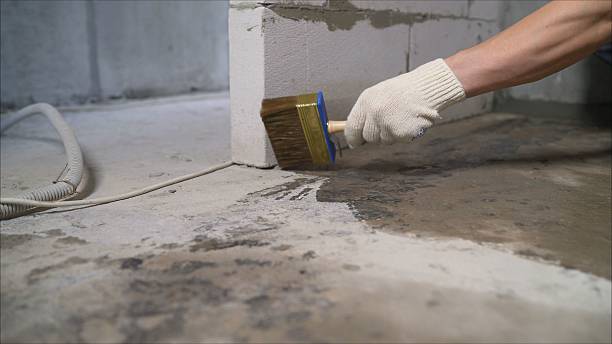 Top rated local Wet Basement Repair specialists in Pratts, VA